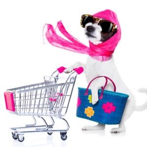 Meet your Posher, Mary-ellen